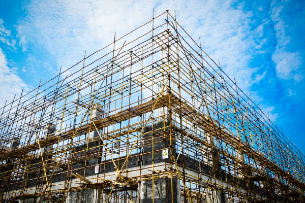 The Tender Landscape in Namibia