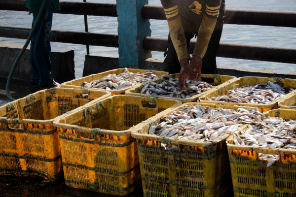 Invoice Discounting: The Lifeline for Namibia’s Supply Chains